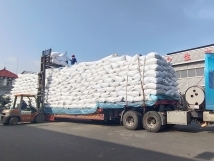 把握機(jī)遇、鉚足干勁、承勢而上